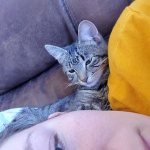 Meet your Posher, Gabby